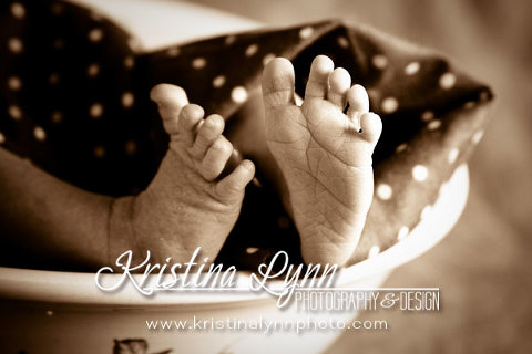 Newborn Portrait Photography Clarion Iowa