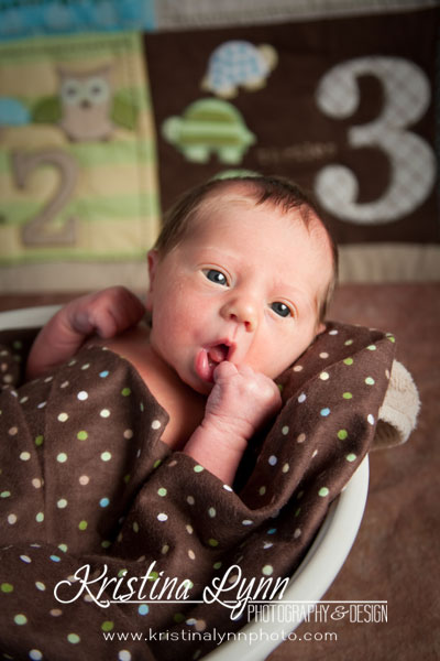 Newborn Portrait Photography Clarion Iowa Newborn Portrait Photography Clarion Iowa