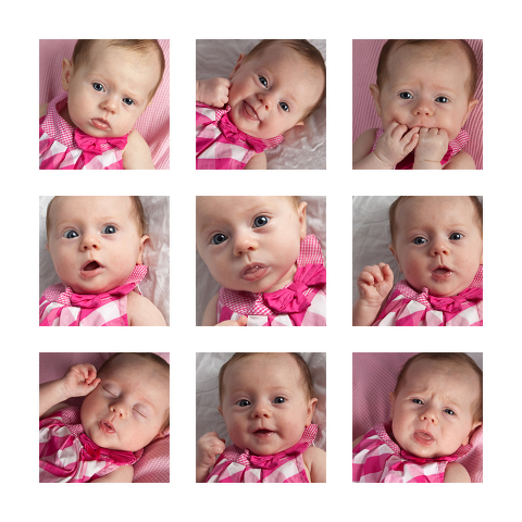 Custom Wall collage 3 month baby portraits