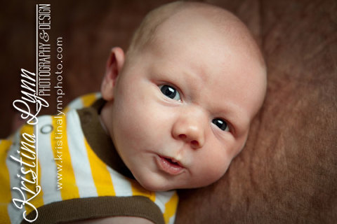 Clarion Iowa Children's portrait photography Stillwater MN photography