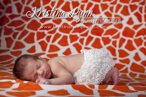 Clarion Iowa newborn photography Stillwater MN photographer