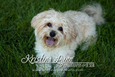 6 month childrens on location portrait photography Clarion Iowa Stillwater MN