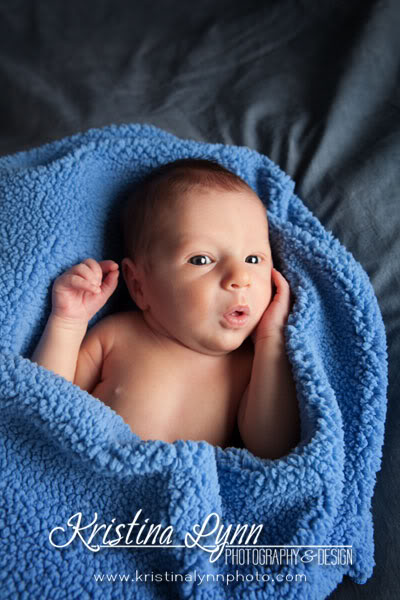 Iowa newborn portrait photography Clarion
