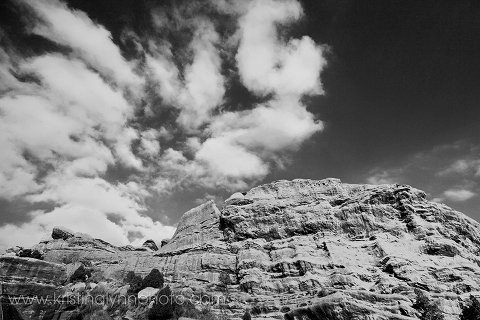 NaturesBeauty_colorado_photographer_fine_art_print_ForEtsy