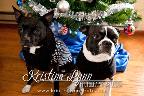 Photo Session at Arrowhead Golf Course with Denver Photographer Kristina Lynn Photography & Design