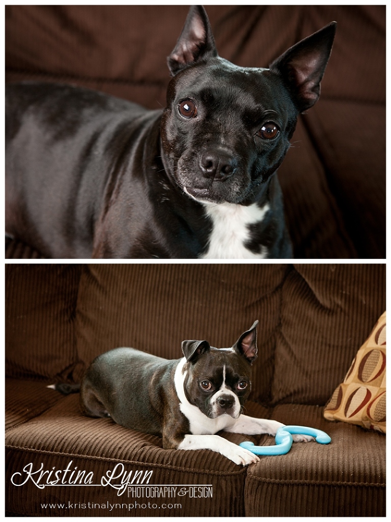 A newborn baby photography session with Denver, CO photographer Kristina Lynn Photography & Design.