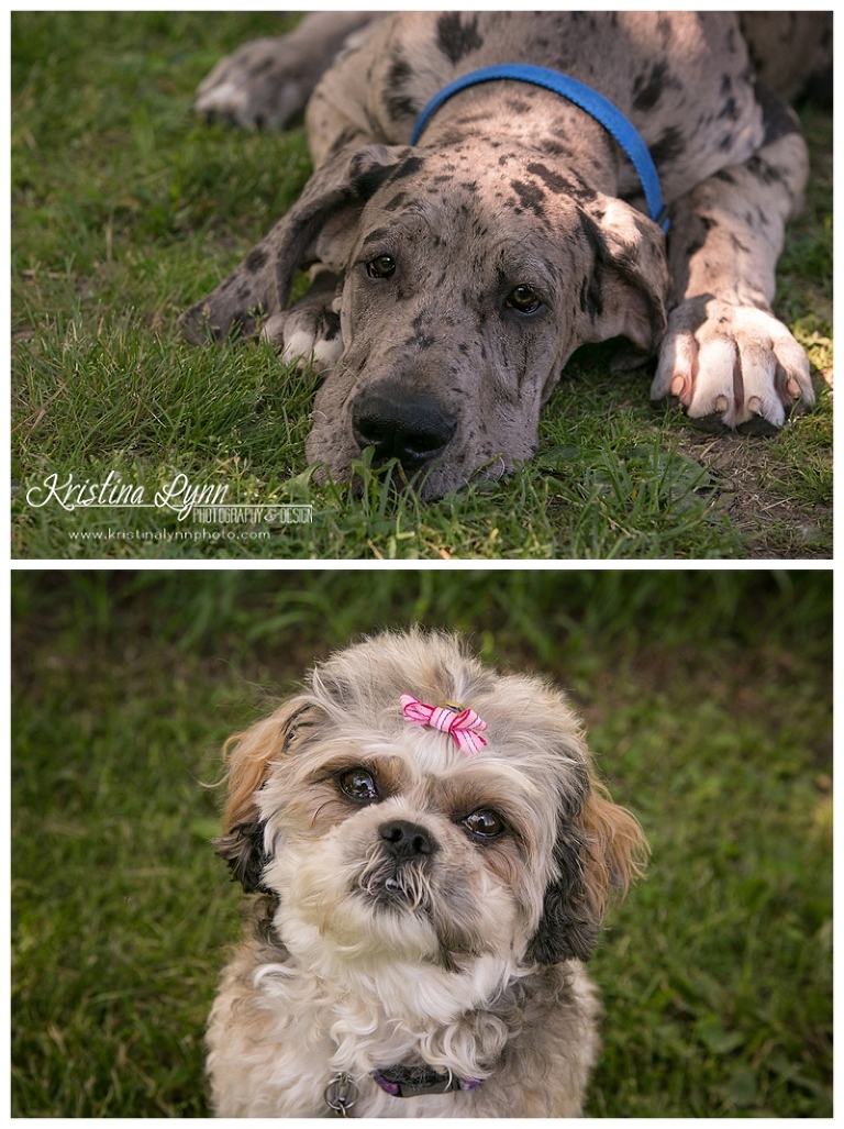 An outdoor engagement session by Denver Colorado wedding photographer Kristina Lynn Photography & Design
